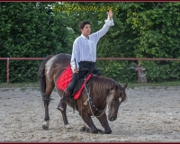 2-13JUIN 0215